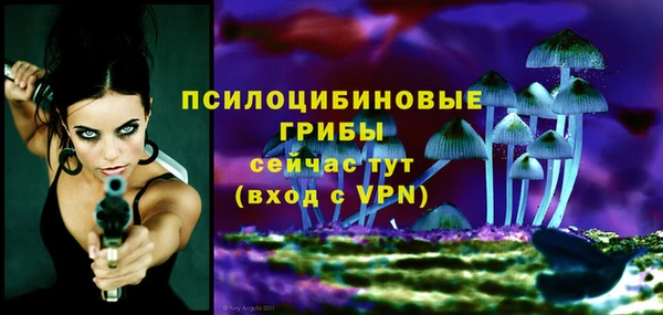 mdpv Балахна