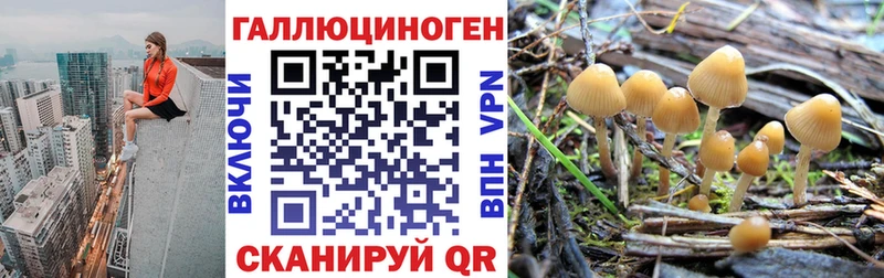 Псилоцибиновые грибы Magic Shrooms  Чайковский 